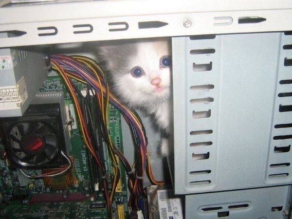 My photo (joke XD)